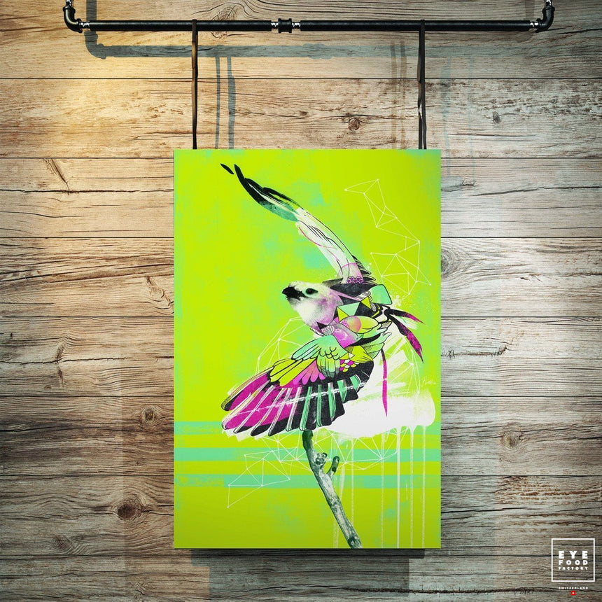 Green Soaring - Éditions Limitées - Animal, BEST DEAL, Nature, Offline, Oiseau